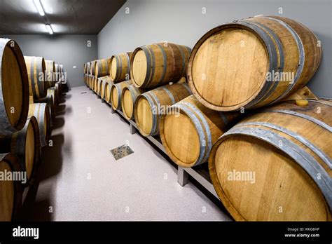 Wooden Wine Barrels Stacked In Modern Winery Cellar In Spain Modern