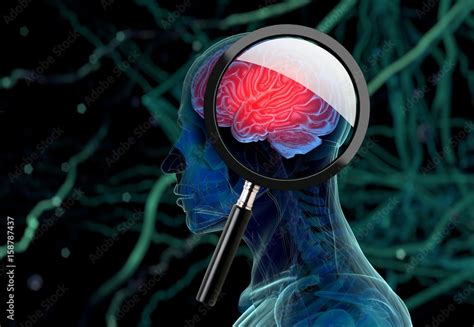 3d Medical Background With Magnifying Glass Examining Brain Depicting