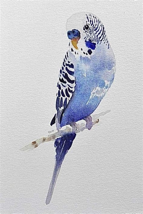 Pin By Tatiane Vidal On Watercolour Bird Watercolor Art Bird