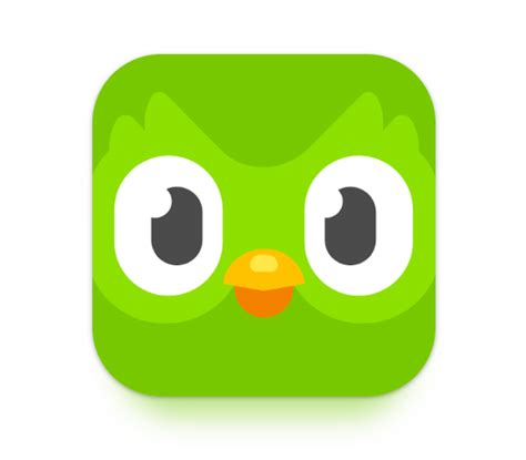 Duolingo App Melting Get Back To The Normal Icon The Nature Hero