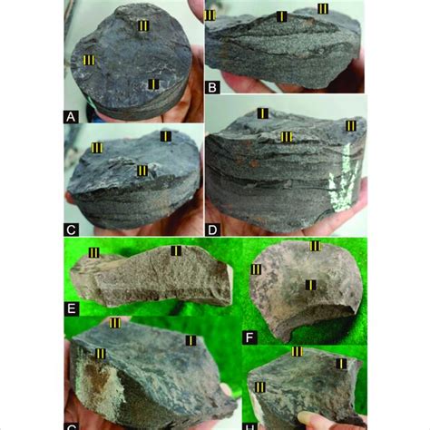 Hummocky Structures And Cross Bedding Of The K 2 Qn 1 Shale In The