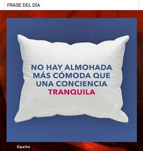 Pin De Abel Lanus En Frases Lindas Frase Del D A Almohada Frases