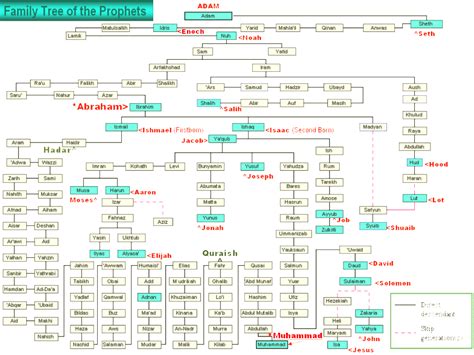 Quran translation in urdu : prophets of islam