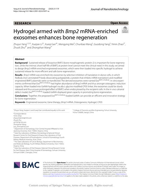 Pdf Hydrogel Armed With Bmp2 Mrna Enriched Exosomes Enhances Bone