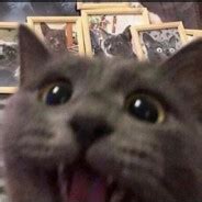 Steam Community :: Жан Плов Лагман