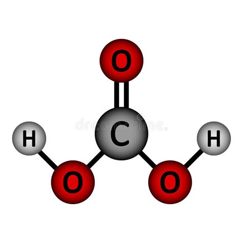 Mol Cula De Cido Carb Nico Formado Quando O Di Xido De Carbono