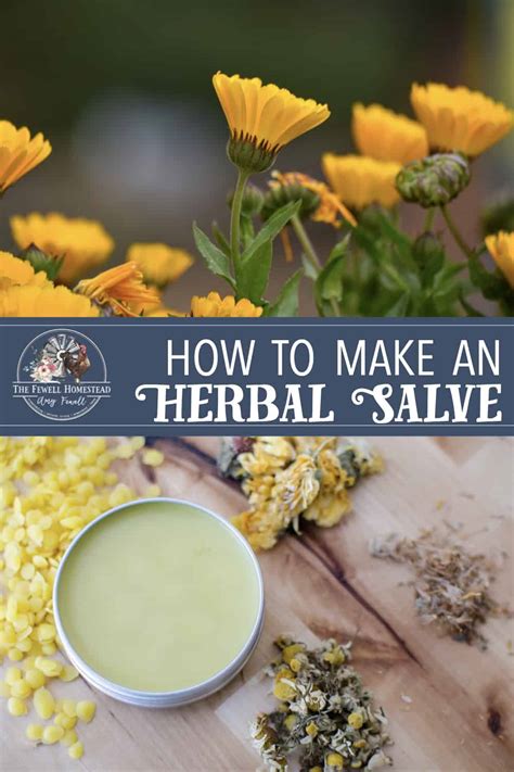 How To Make An Herbal Salve Amy K Fewell Homesteading For The Kingdom