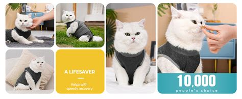 Avont Cat Recovery Suit Kitten Onesie For Cats After Surgery Cone Of