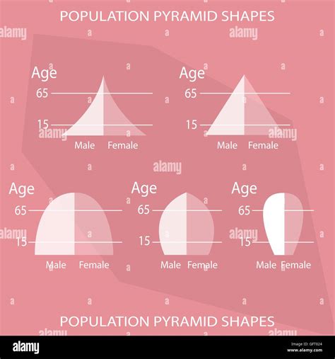 5 Stages Of Population Pyramids