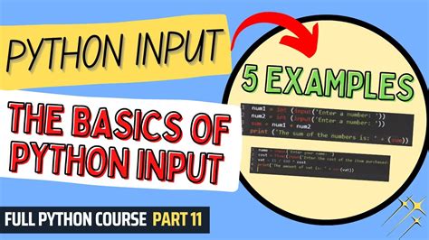 5 Examples Of Python Input Python Course For Beginners And Students