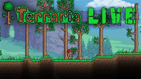 Live Terraria 5 Youtube