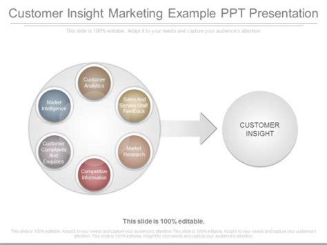 Customer Insight Marketing Example Ppt Presentation Powerpoint Templates