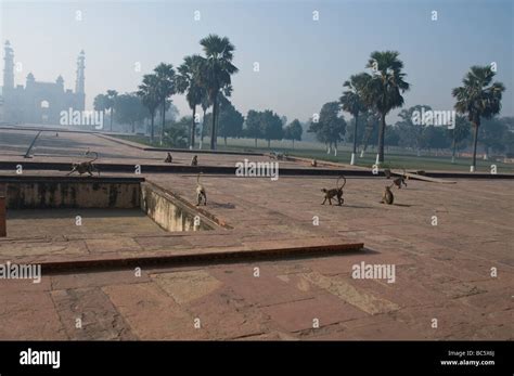 Akbar's Tomb, Sikandra, Uttar Pradesh, India Stock Photo - Alamy