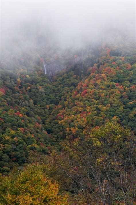 Glassmine Falls Overlook Blue Ridge Parkway North Carolina [oc] [4000x6000] R Earthporn