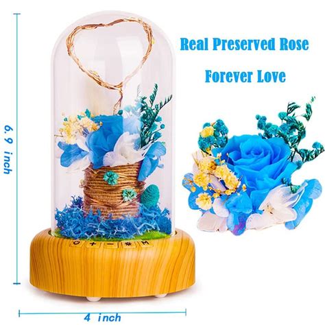 Blue Rose Lamp Real Preserved Rose In Glass Dome Forever Flower Night