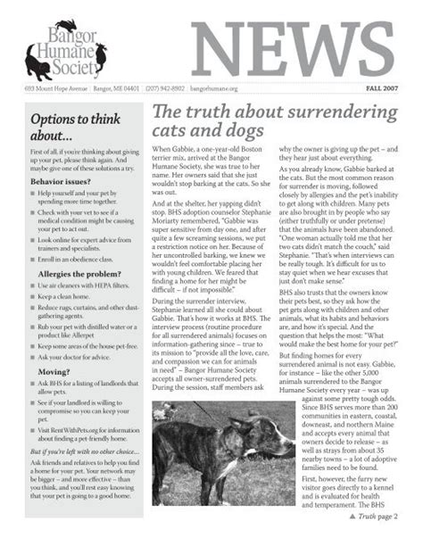 The truth about surrendering cats and dogs - Bangor Humane Society