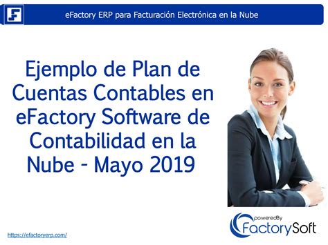 Ejemplo De Plan De Cuentas Contables De Efactory Software De