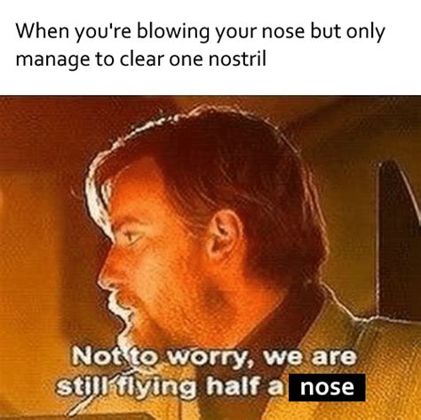 Its Allergy Season Rprequelmemes