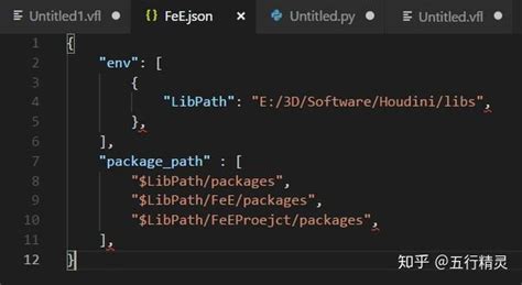 Houdini Packages Json