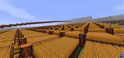 WORLD RECORD World S Biggest Wheat Farm WHEAT ULTIMATE Maps