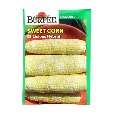 Burpee Sweet Corn Bi Licious Hybrid Vegetable Seeds Shop Patio And Outdoor At H E B