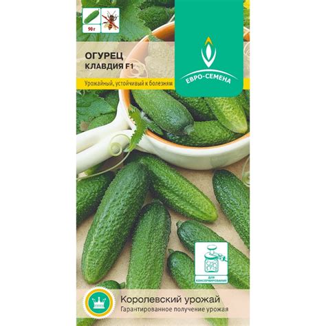 Огурец Клавдия F1 | euro-semena.ru