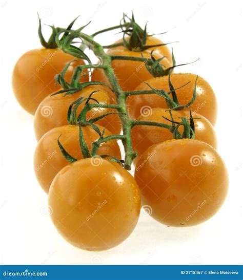 Cherry Tomatoes On Vine Stock Image Image Of Small Vegetable