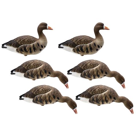 Чучела гусей для охоты белолобый Final Approach FA-227283 - купить с ...