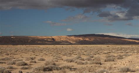 Plants in the Sahel Desert | eHow UK