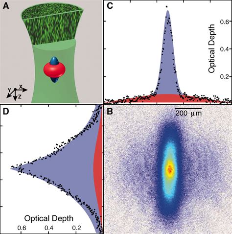 Three Dimensional Anderson Localization Of Ultracold Matter Science