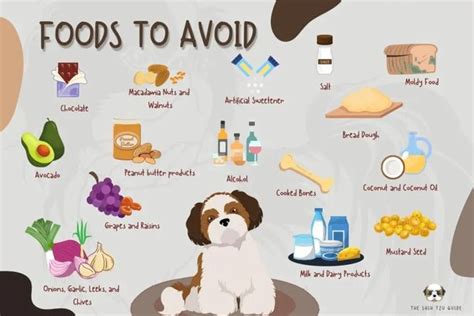 What Shih Tzu Can Eat