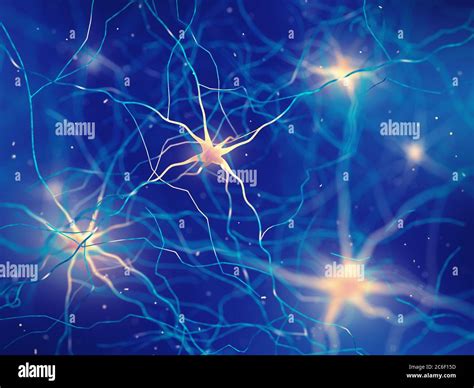 Cellule Nerveuse Du Cerveau Humain Banque De Photographies Et Dimages