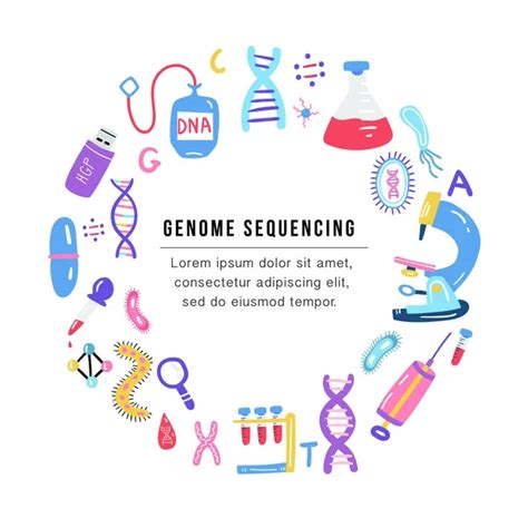 Hand Drawn Genome Sequencing Illustration Human Dna Research