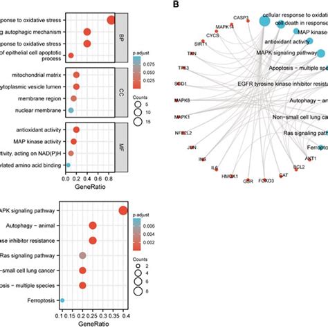 GO And KEGG Enrichment Analysis Of Hub Genes A GO Analysis B