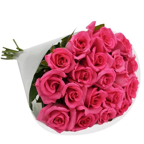 Buquê De Rosas Pink Com 20 Unidades Nova Flor