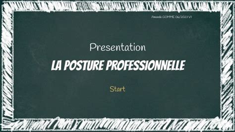 CIP PRESENTATION LA POSTURE PROFESSIONNELLE