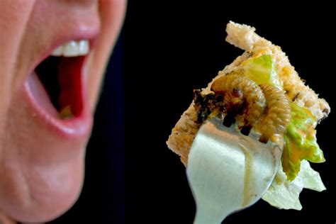 51 Creepy Crawlies That You Can And Should Eat