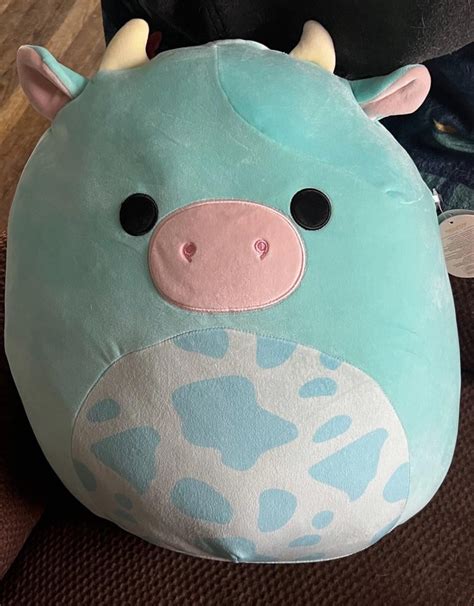 Uft Iso Attached Have Adds For More Htf Iso R Bstsquishmallow