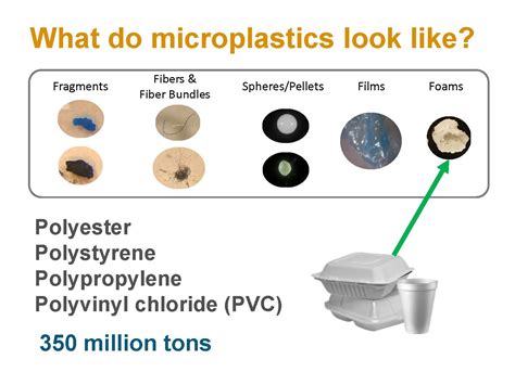 State Of The Estuary Microplastics Everywhere Understanding