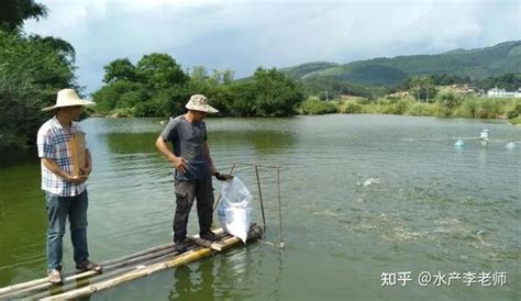 养鱼，如何降低的饲料成本？ 知乎