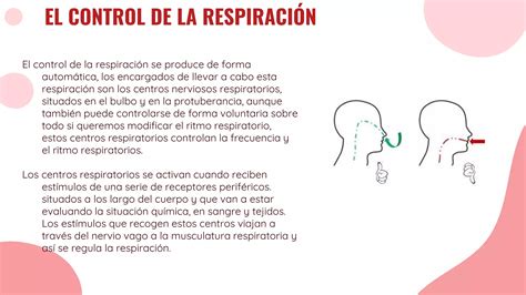 Frecuencia Respiratoria Ppt