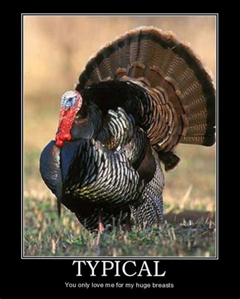 Funny Turkey Meme