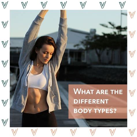 What are the different body types? An introduction to somatotype theory ...