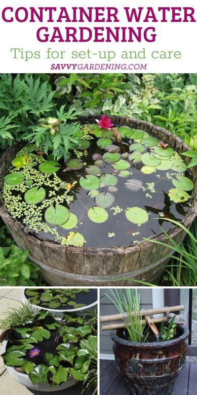 Container Water Garden Ideas How To Make A Pond In A Pot