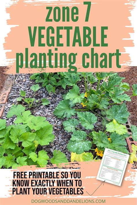 Zone 7 Vegetable Planting Chart Planting Vegetables Fall Vegetables To Plant Fall Garden