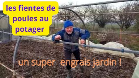 Fientes De Poules Au Jardin Youtube