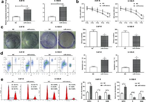 Effect Of Mir 195 3p On Growth Apoptosis Cell Cycle And Download Scientific Diagram