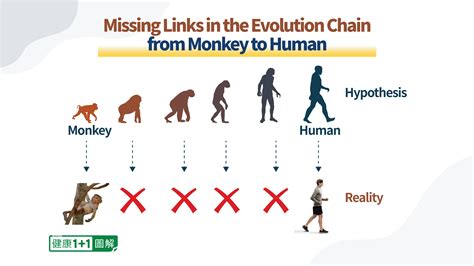 As Science Develops More Holes Show Up In Evolutionary Theory