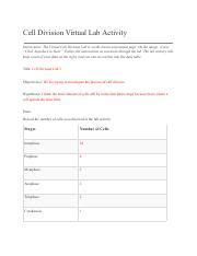 Cell Division Lab Report Jasmine Clinton Pdf Cell Division