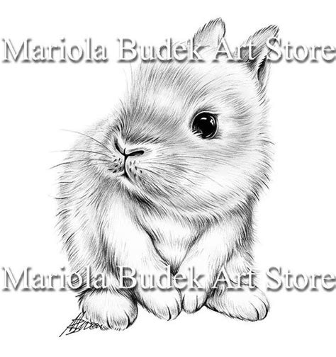 460 Collections Cute Bunny Coloring Pages For Adults Free Coloring